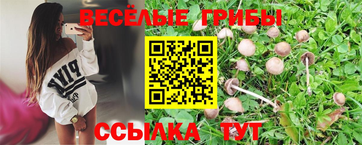 Галлюциногенные грибы Psilocybine cubensis  Вход с VPN  купить закладку  Черкесск 