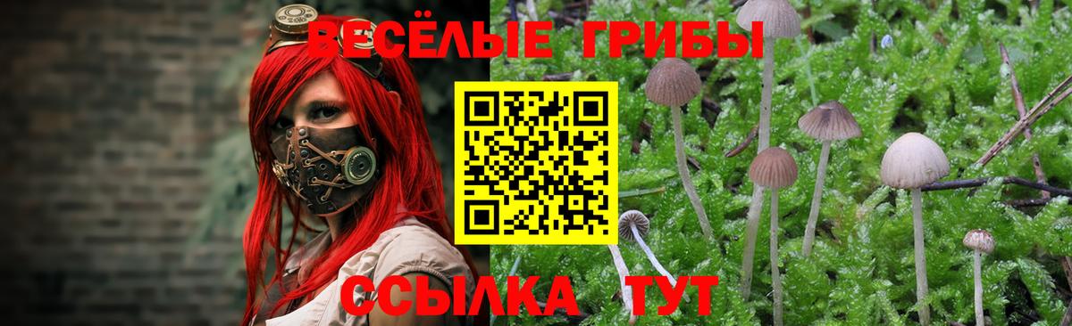 Псилоцибиновые грибы прущие грибы Черкесск